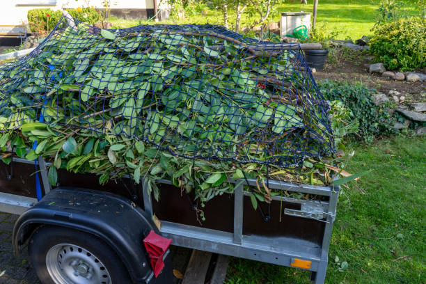 Best Scrap Metal Removal  in Schererville, IN